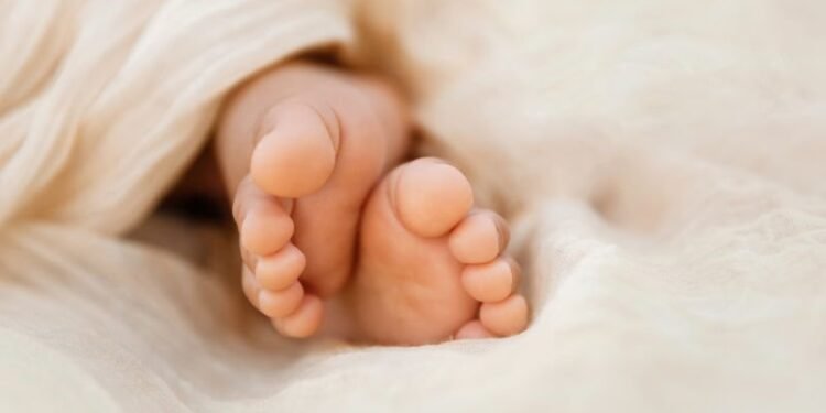 temp 1623dd2f 25ca 4551 bed5 aed18ddcb4c6