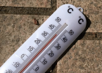 temp c9dfe901 6c67 464f 81cb aa113f1b39e5