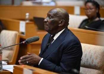 Bheki Cele drops a bombshell: Senzo Mchunu asked Vusimuzi “Cat” Matlala to fund his presidential campaign 12 temp 0adb9e86 4d8e 4a02 bc37 8d4f5efa639a