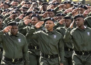 Gauteng Crime Prevention Wardens disbanded — call for Lesufi’s removal 18 temp 0eb67ea8 38a1 43aa a93e c719b3880cc6