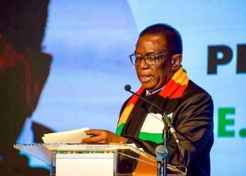 We want to come home: Zimbabweans in South Africa react to President Mnangagwa’s term extension 19 temp 481d82d2 70f6 4d4b a91b 47b492f9f382