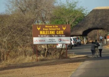 temp 5f00c593 adf4 419d 8f18 a4b3ffe96176