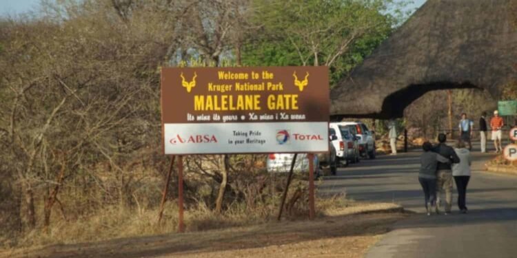 temp 5f00c593 adf4 419d 8f18 a4b3ffe96176