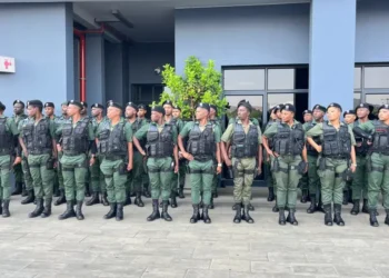 DA justified after PP finds crime prevention wardens unit was irregular 19 temp 9e321e27 7306 405b 9537 823d98c8ab90