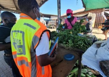 Joburg street vendors get smart card trading permits 17 temp ec16e3c6 fe55 4249 bea2 411117876bcf