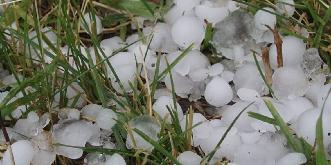 temp 1261e6d8 6f29 4a29 8ec3 0a31125e035b