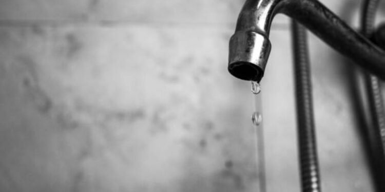 temp 1bd62744 f2b5 49ca a7db 68d843e7f10f