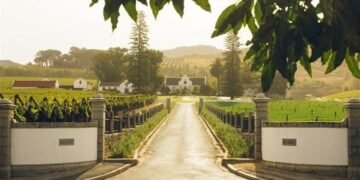 temp 3bf3f262 5573 4aca ab80 8da73aeef0a6