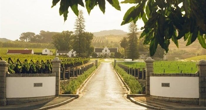 Cape Town Tourism raises a glass to local vineyards as the Cape shines on the world stage 10 temp 3bf3f262 5573 4aca ab80 8da73aeef0a6