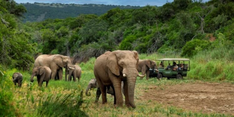 temp 6053a0af 827b 4e21 b1cc 2372e435e9b1