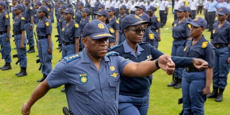 Daily Dive | South Africa News in 60 Words 72 temp 6d207a4f ade7 42c6 9cfd 1d92e2662be3