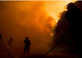 Firefighters contain vegetation fire along the N7 in Cape Town 16 temp 7cfed8b7 2553 416f 982d 847854363d54