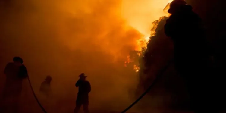 Firefighters contain vegetation fire along the N7 in Cape Town 10 temp 7cfed8b7 2553 416f 982d 847854363d54