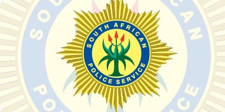 Daily Dive | South Africa News in 60 Words 69 temp 8210b177 9d38 4964 bd16 78668eae9004