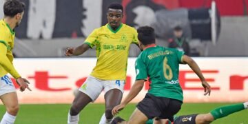 temp 8843b0eb e965 44c8 bd53 7ec4f32fee2a