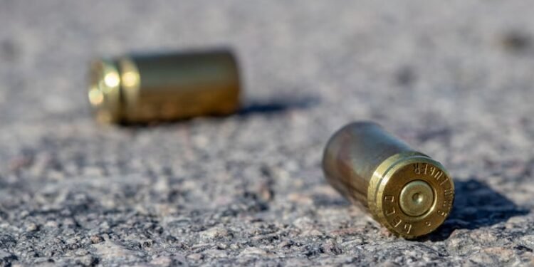 Daily Dive | South Africa News in 60 Words 68 temp a92676c7 7e0a 4619 bba8 f783368df69c