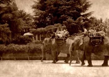 temp c37979e6 1c51 4952 a441 518969259110