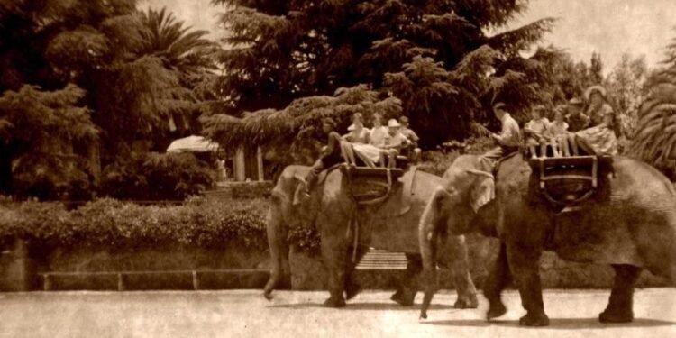 Do zoos still belong in our cities? 10 temp c37979e6 1c51 4952 a441 518969259110